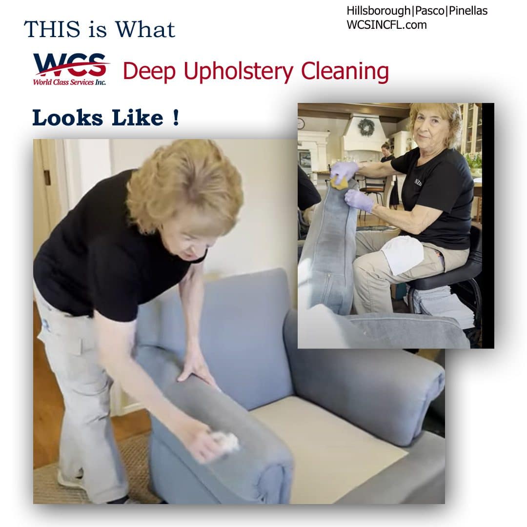 What WCS Deep Upholstery Cleaning Looks Like