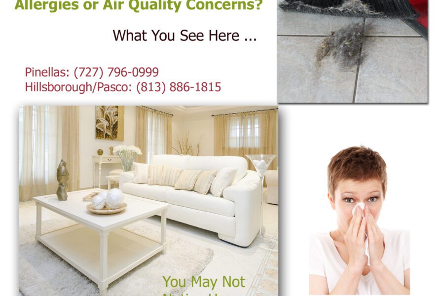 Professional carpet cleaning Tampa Bay