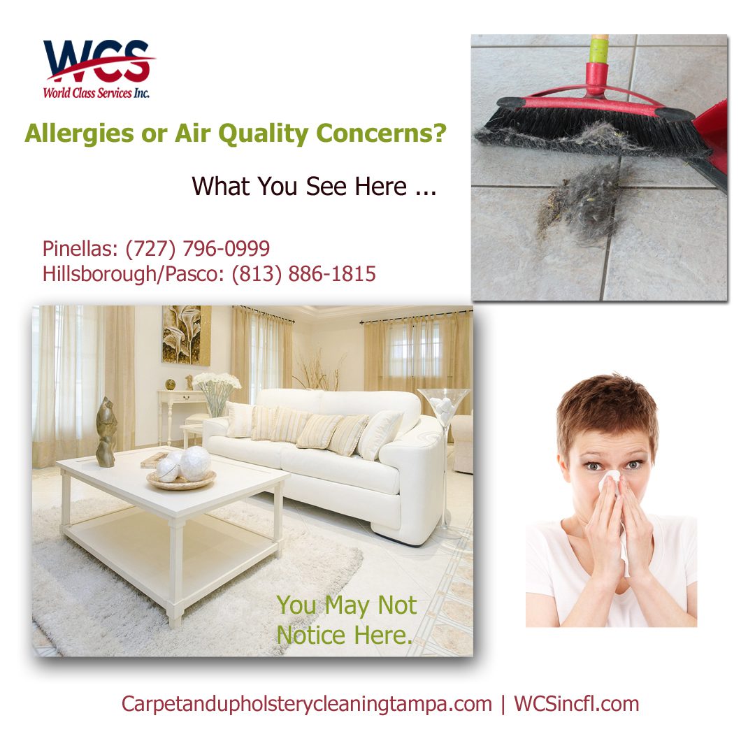 Tampa Bay’s Weather & Proper Carpet Cleaning